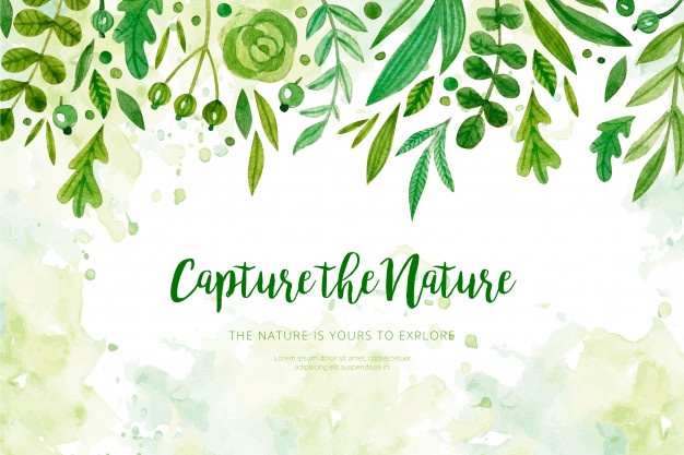 626x417 Nature Vectors, Free In Format