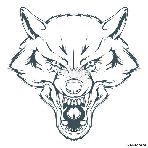 500x500 Wolf Head Vector Drawing, Wolf Face Drawing Sketch, Wolf Head