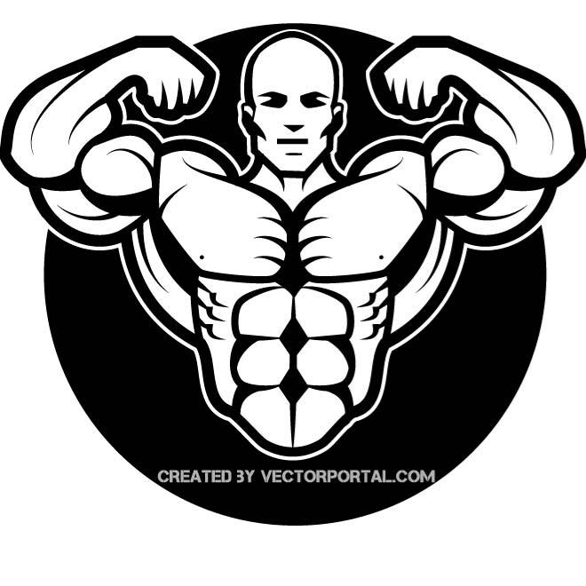 660x660 Bodybuilder Vector Drawing
