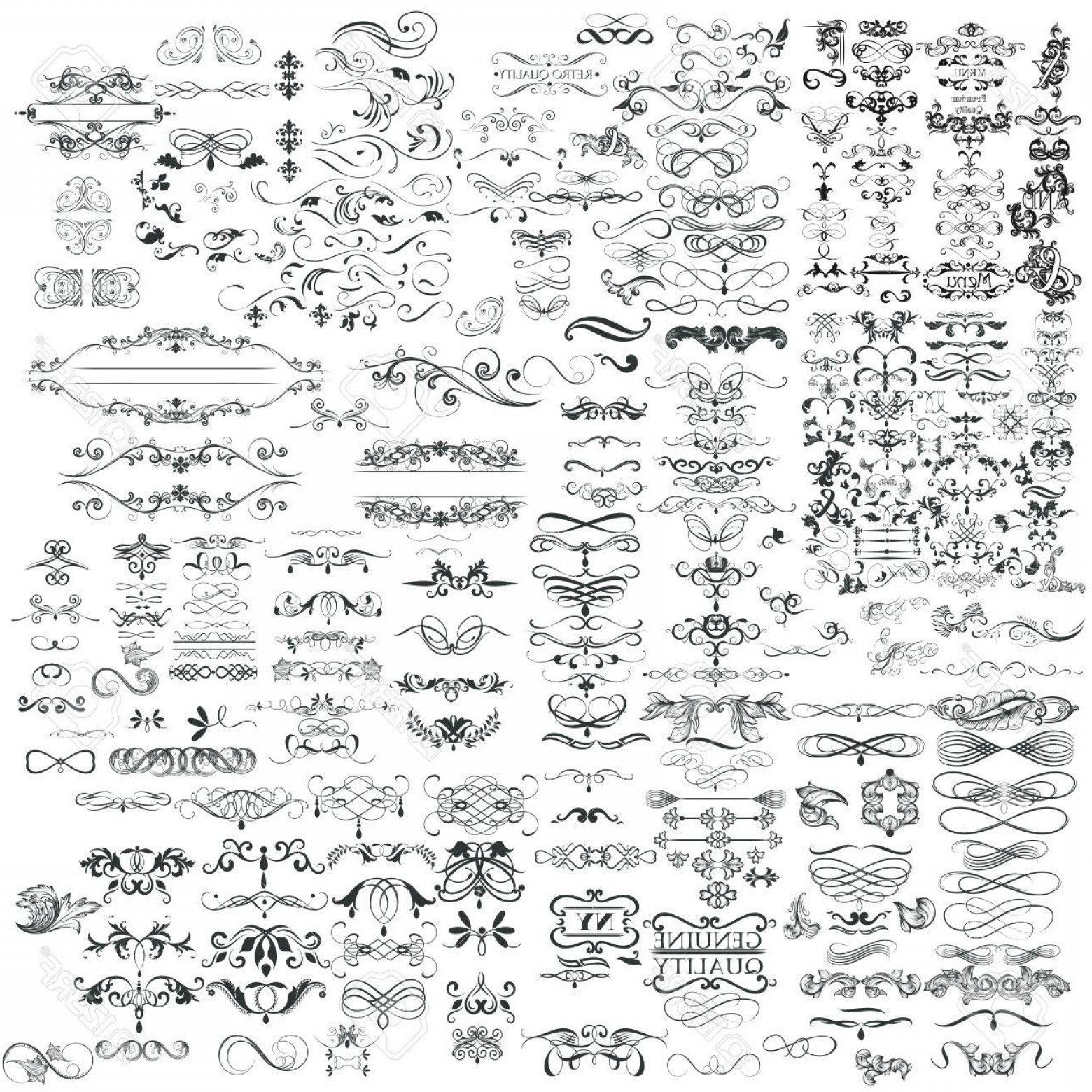 1560x1560 Free Vector Flourishes Cqrecords