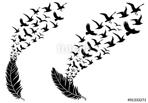 Feathers With Flying Birds, Vector Stock Image And Royalty Free 500x350 Feathers With Flying Birds, Vector Stock Image And Royalty Free