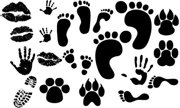 Footprint Free Vector Download 575x344 Footprint Free Vector Download