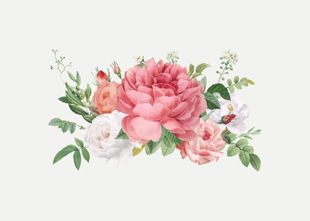 626x446 Flower Vectors, Photos And Free Download