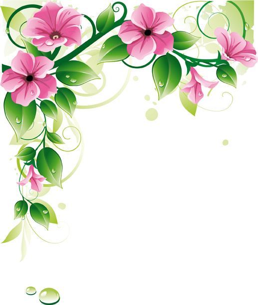 517x613 Flower Border Background Vector Free Vector