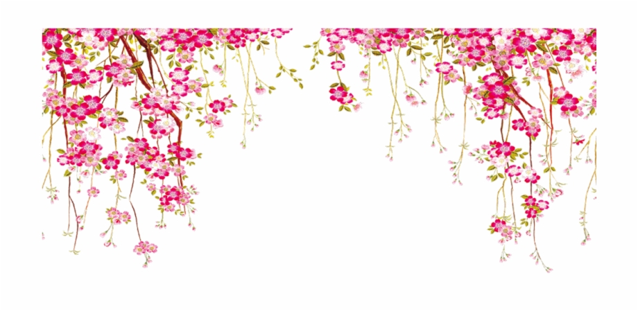 920x449 Flowers