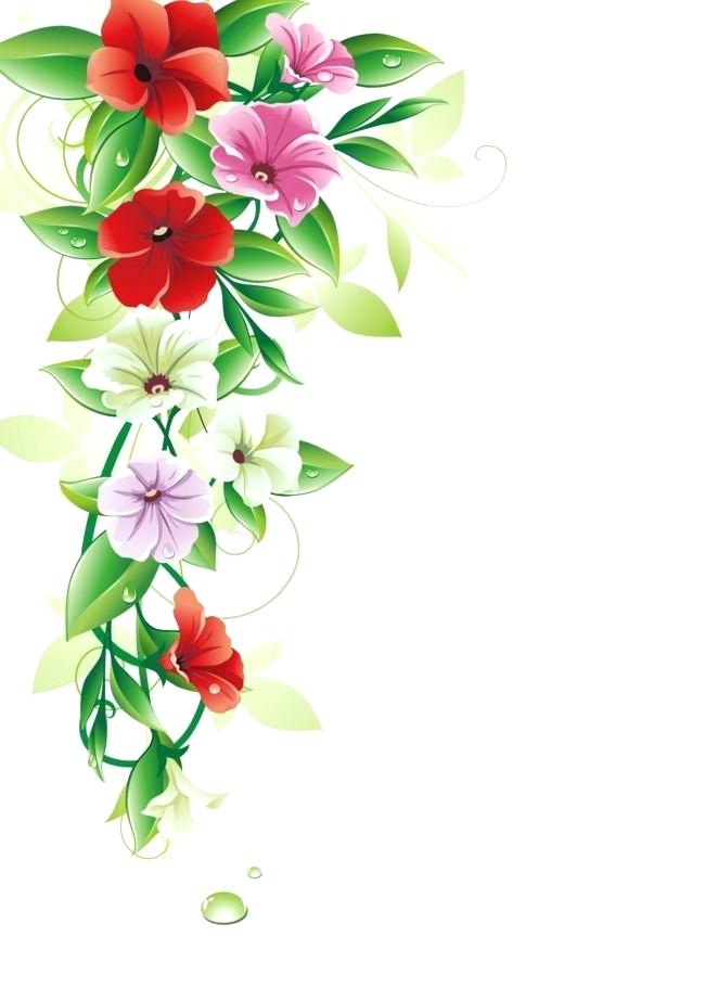 650x923 Vector Flowers Border