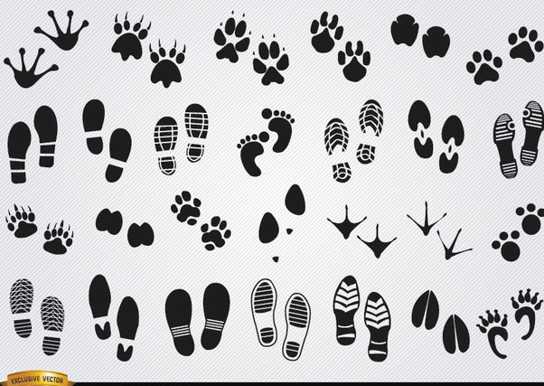 602x427 Footprints Silhouettes Of Humans And Animals Free Vector Download