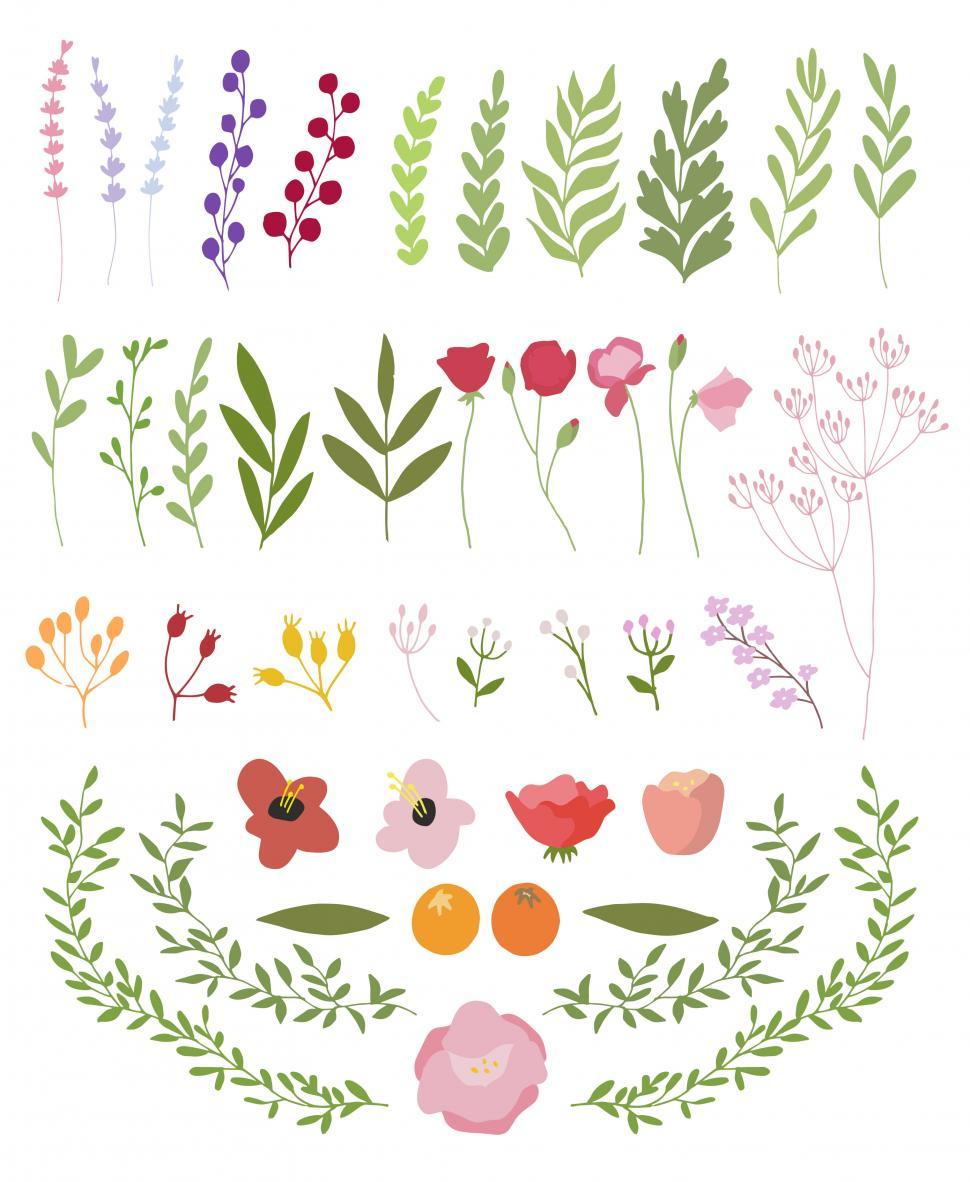 970x1182 Get Free Stock Photos Of A Collection Of Flowers And Leaves Vector