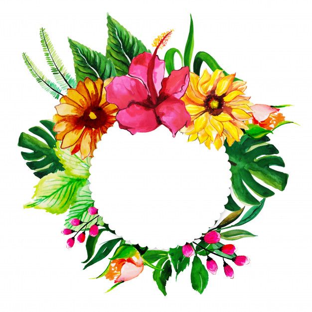626x626 Watercolor Floral Frame Download Thousands Of Free Vectors
