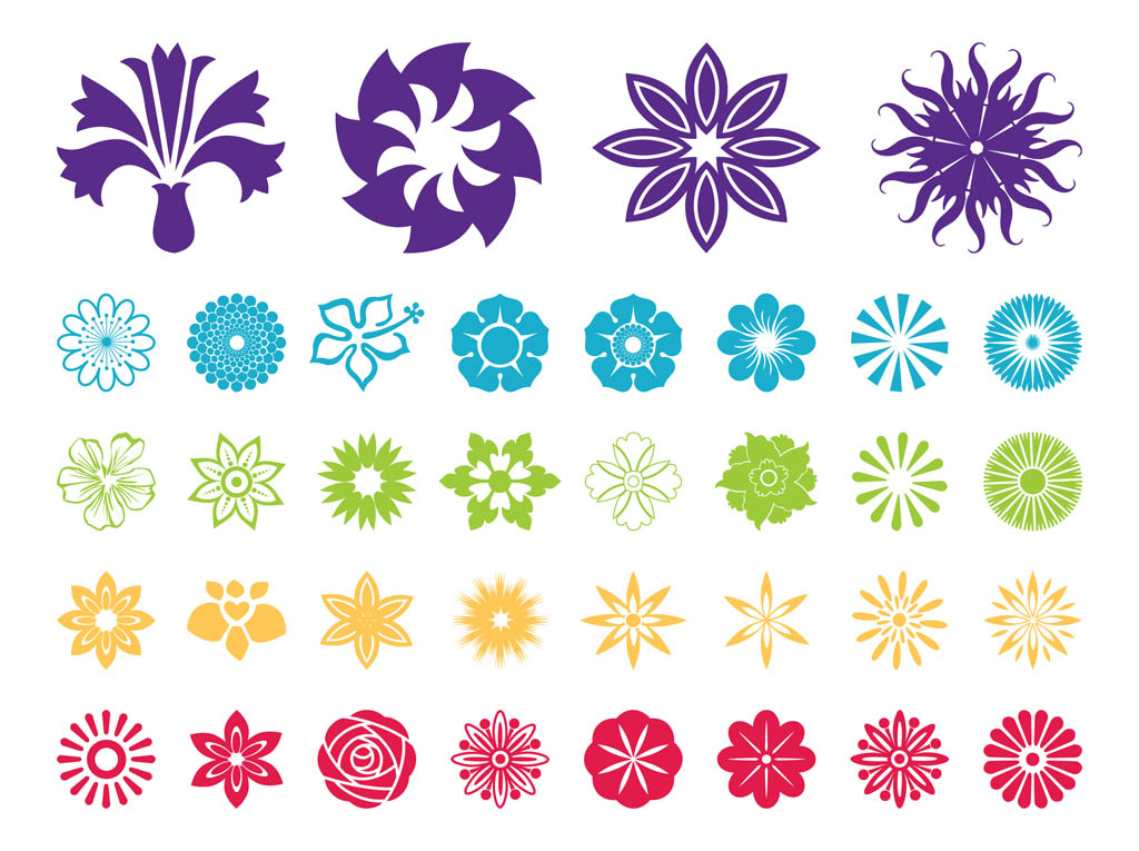 1024x765 Flower Blossoms Vector Graphics Vector Art Graphics
