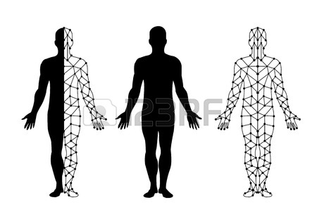 450x318 Huge Collection Of 'human Body Silhouette Free' Download More
