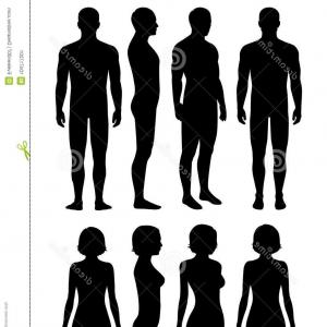 300x300 Lungs And Human Body Download Royalty Free Vector Clipart