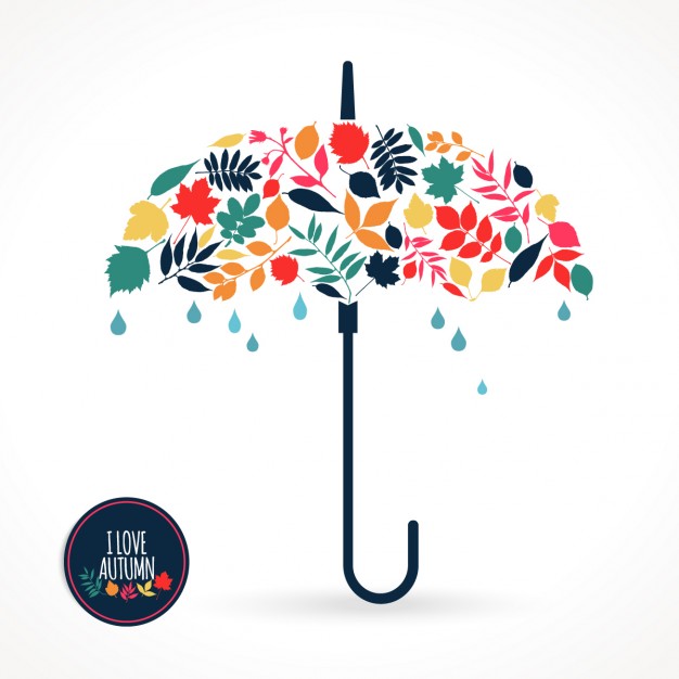 626x626 Vector Illustration Of Umbrella Vector Free Download