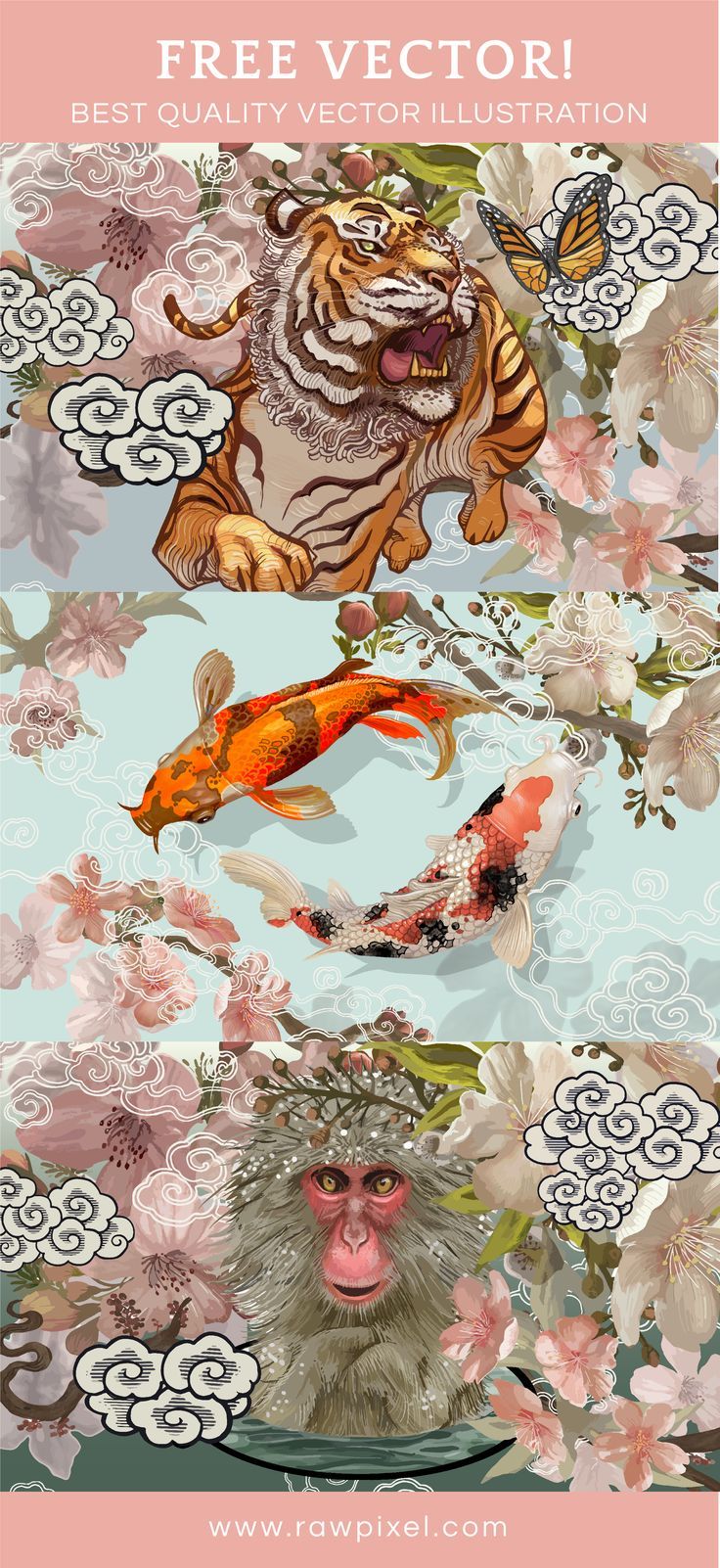 736x1602 Download Free Vector Illustration