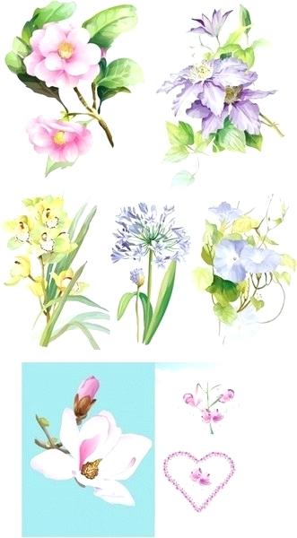 331x600 Free Illustrator Flowers Vector