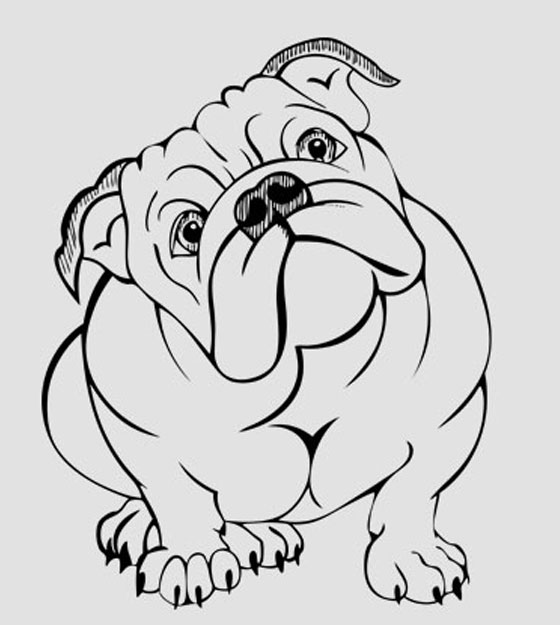 560x625 Free Vector Designs Free High Quality Vector Designs