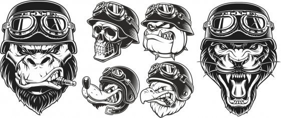 561x236 Motorcycle Free Vector Download Free Vector Cdr