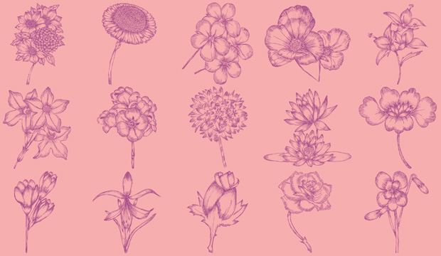 Floral Vector Free Download 620x360 Floral Vector Free Download
