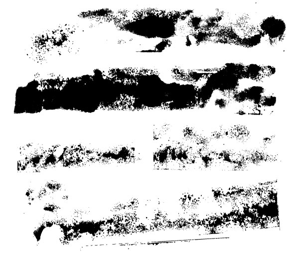 Free Vector Grunge Graphics For Designers And Illustrators 600x512 Free Vector Grunge Graphics For Designers And Illustrators