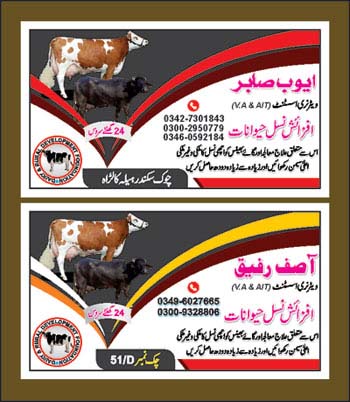 Business Card Template Download Free Vector Images 350x402 Business Card Template Download Free Vector Images