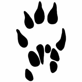320x320 Free Vector Library Paw Print Dog Techflourish Collections