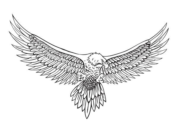 Line Drawing Of The Eagle 600x450 Line Drawing Of The Eagle