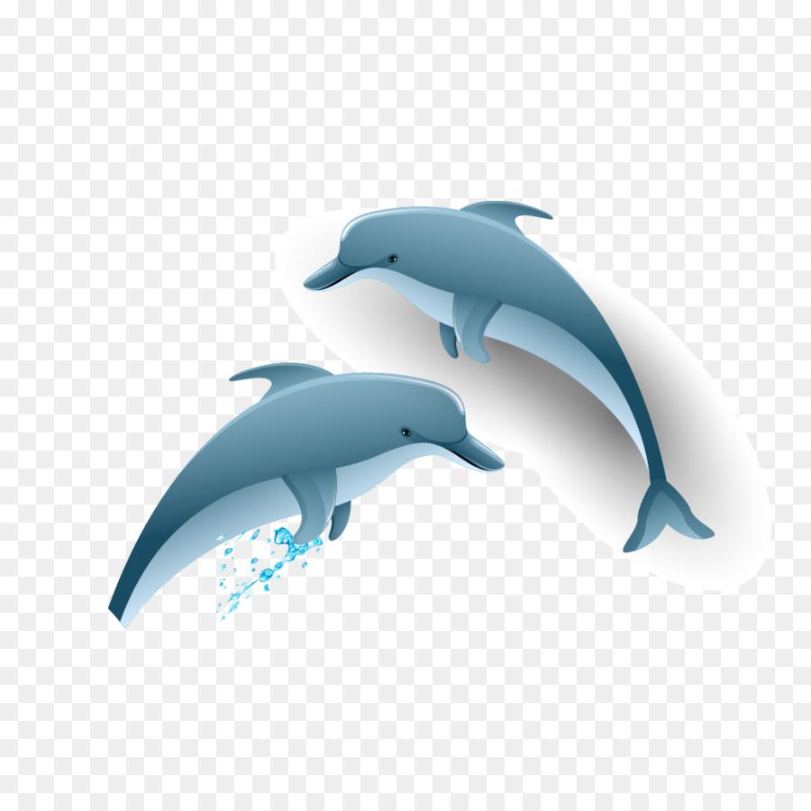 900x900 Top Transparent Dolphin Vector Image Vector Images Design