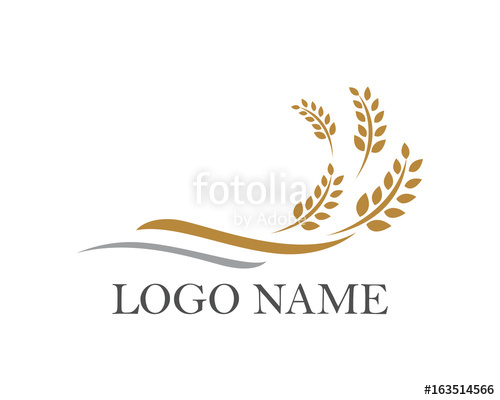 500x400 Rice And Oat Logo Food Stock Image And Royalty Free Vector