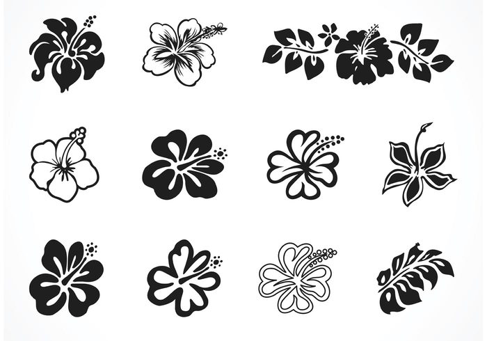 700x490 Free Vector Hibiscus Silhouettes