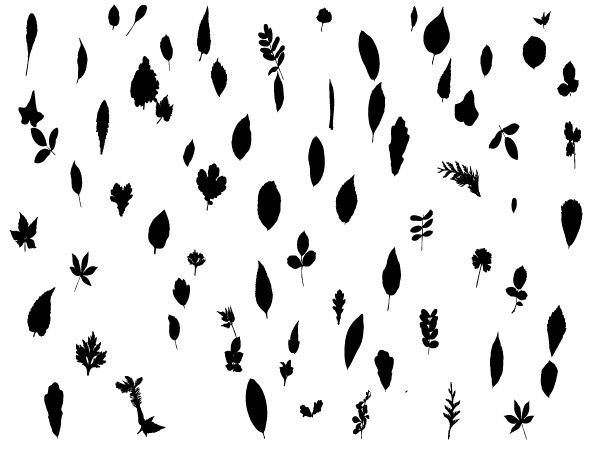 600x450 Large Collection Of Free Trees And Foliage Vector Shapes Graphic