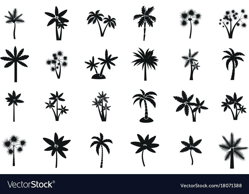 1000x780 Palm Tree Stencil Free Leaf Wall Stencils For Painting Tattoo