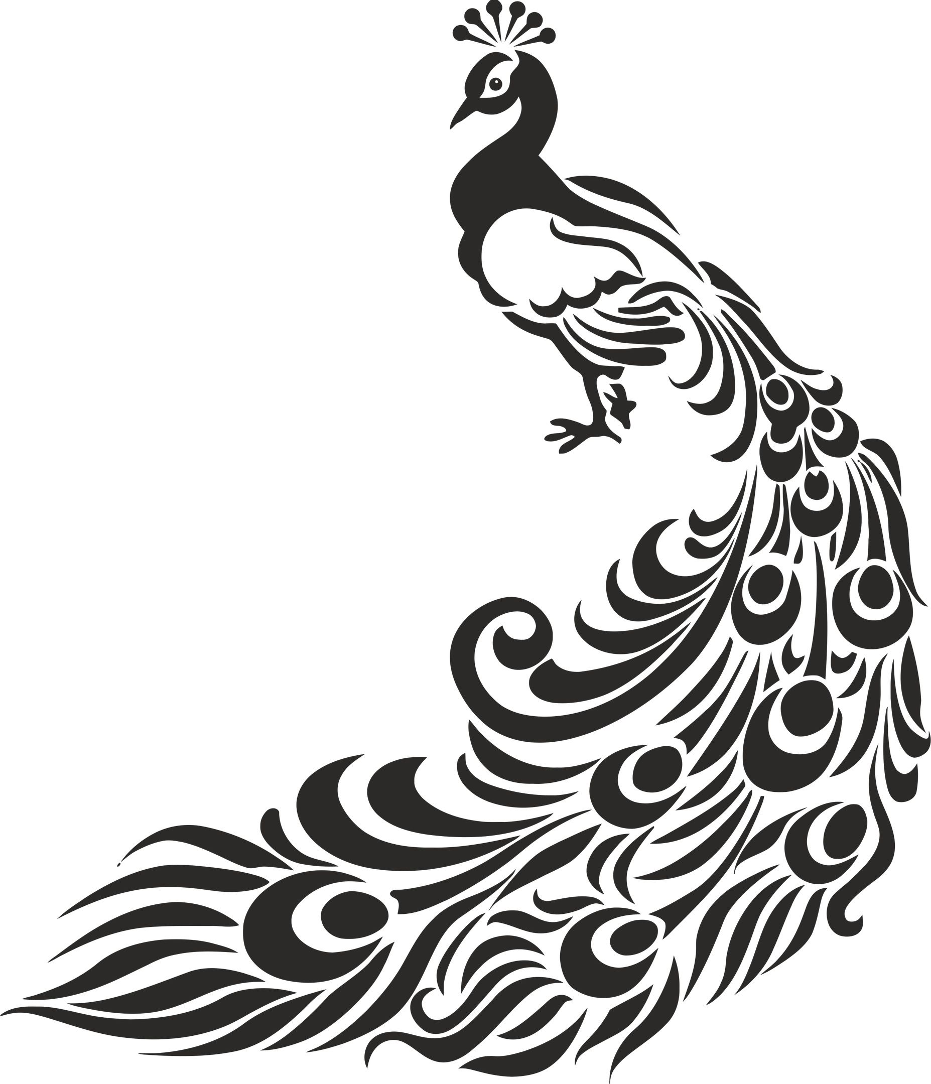 1855x2160 Peacock Stencil Free Vector Cdr Download Stencil Vectors