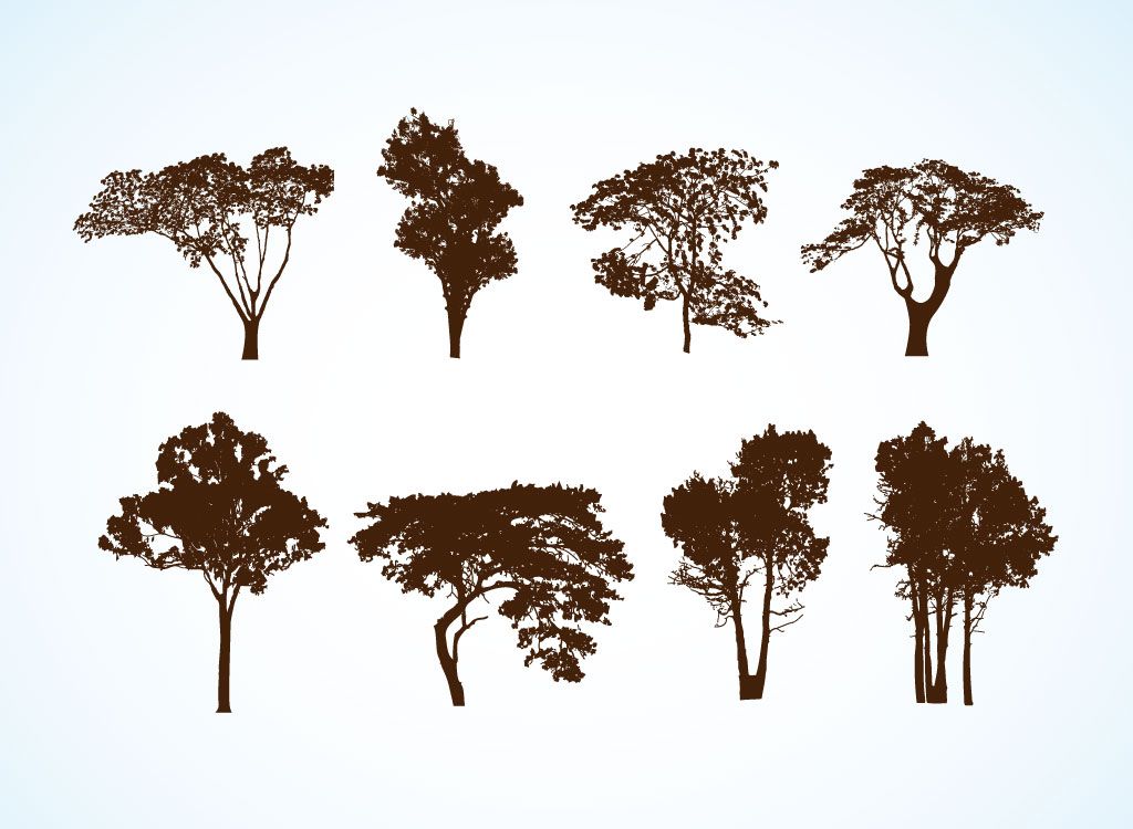 1024x750 Free Vector Trees These Are Actually Free Easy Open