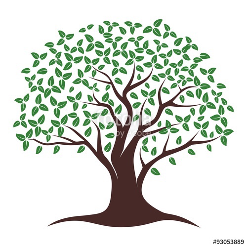 500x500 Oak Tree Vector Oak Tree Logo Illustration Vector Silhouette