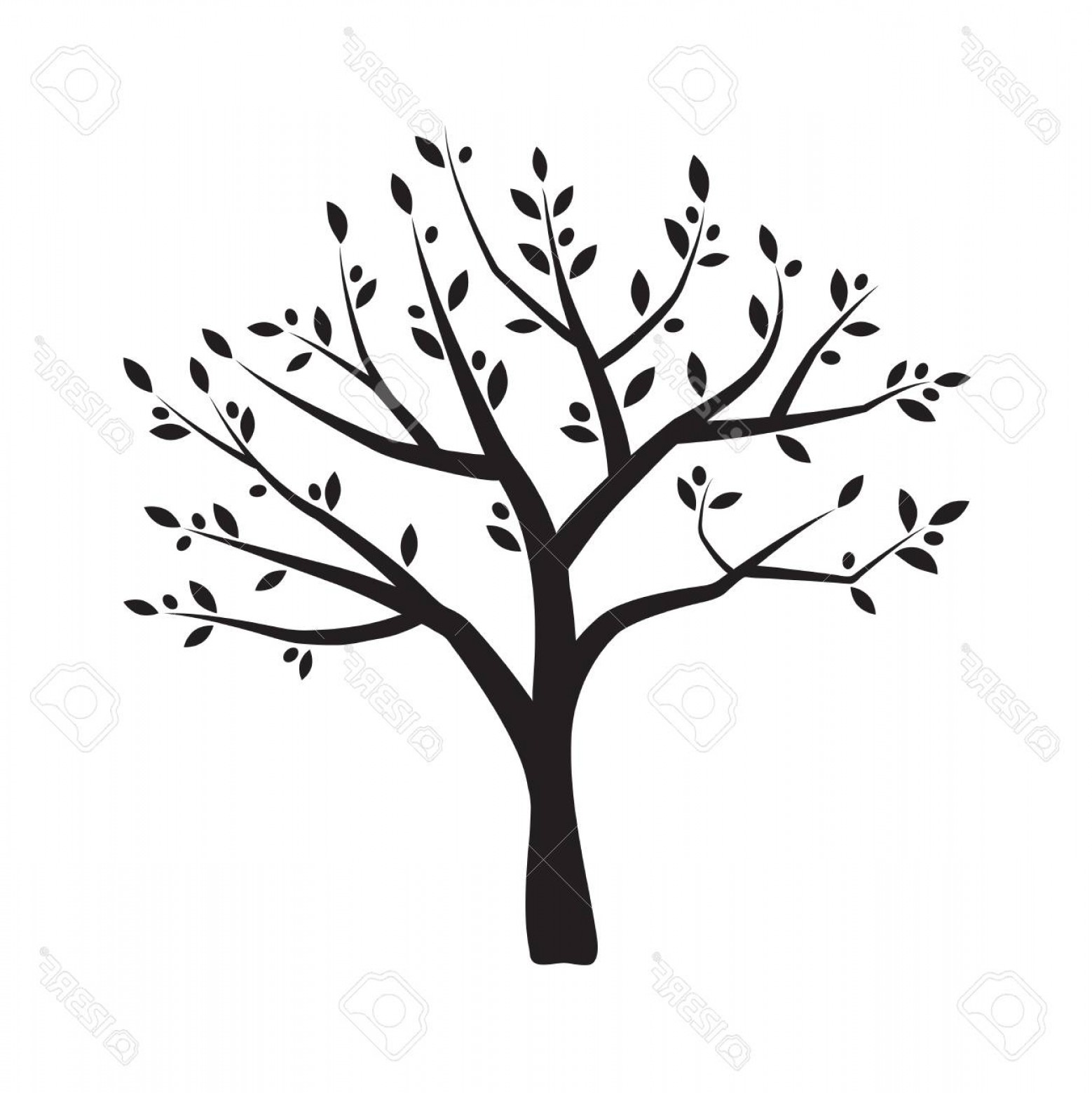 1558x1560 Photostock Vector Vector Illustration Of Olive Tree Silhouette