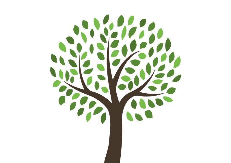 800x566 Free Vector Tree Illustration