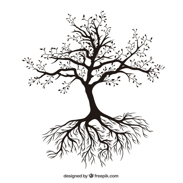 Tree With Roots Vector Free Download 626x626 Tree With Roots Vector Free Download