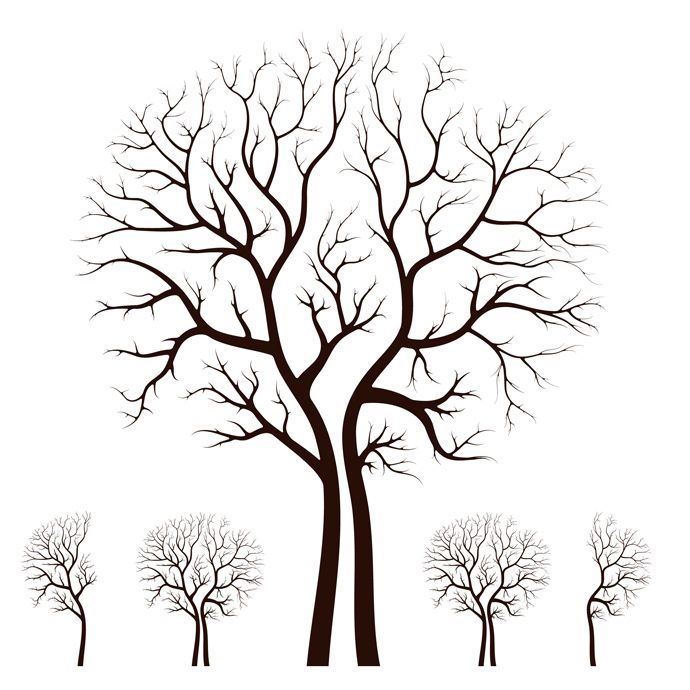Vector Tree Silhouette Henry And Sofia's Shared Room Tree 690x690 Vector Tree Silhouette Henry And Sofia's Shared Room Tree
