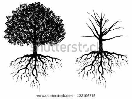 Free Vector Tree With Roots