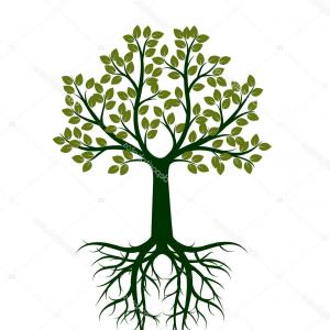 300x300 Free Vector Image Of Tree With Roots Catchsplace