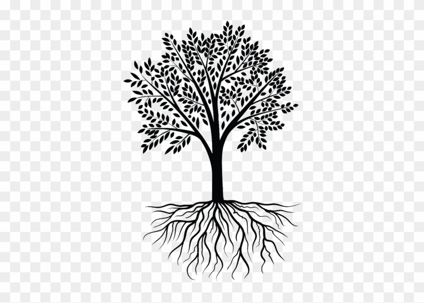 840x601 Plant Roots Png Download
