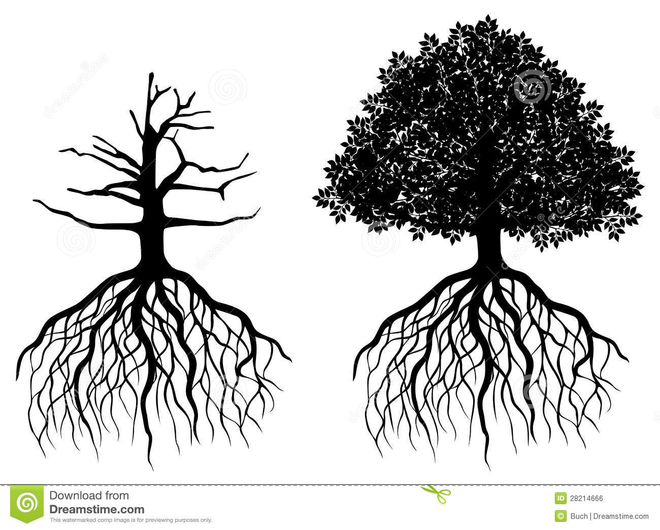 1300x1044 Free Vector Tree With Roots Images