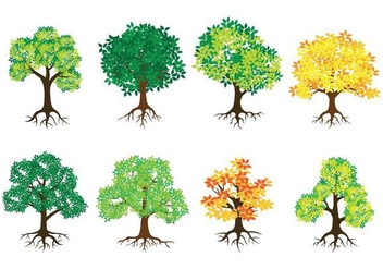 352x247 Seasons Tree With Roots Free Vector Free Vector Download