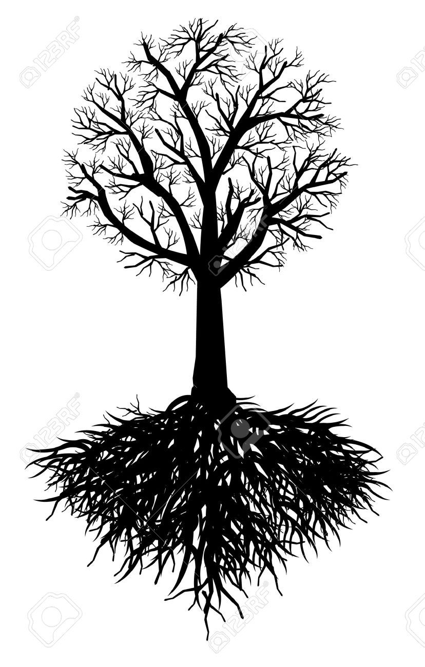 828x1300 Stock Vector Trees Tree Roots, Tree Images, Photo Tree