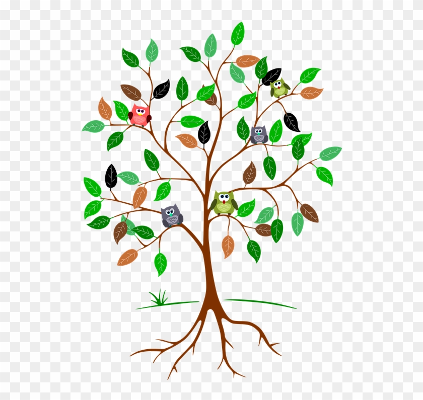 840x795 Tree Roots Cliparts Buy Clip Art