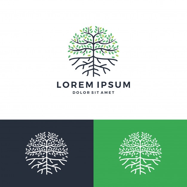 626x626 Tree And Root Logo Vector Premium Download