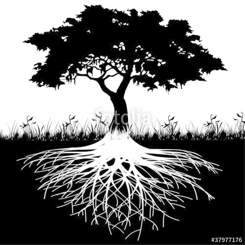 500x500 Tree Roots Silhouette Stock Image And Royalty Free Vector