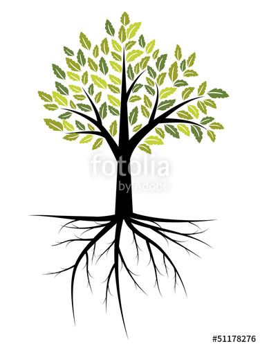 376x500 Tree With Roots Stock Image And Royalty Free Vector