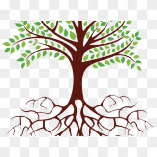 320x320 Free Tree With Roots Vector Png Images Tree With Roots Vector