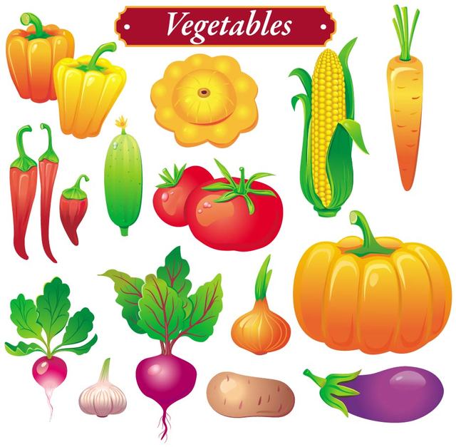 640x627 Free Vectors Bright Colored Vegetable Set Anonymous
